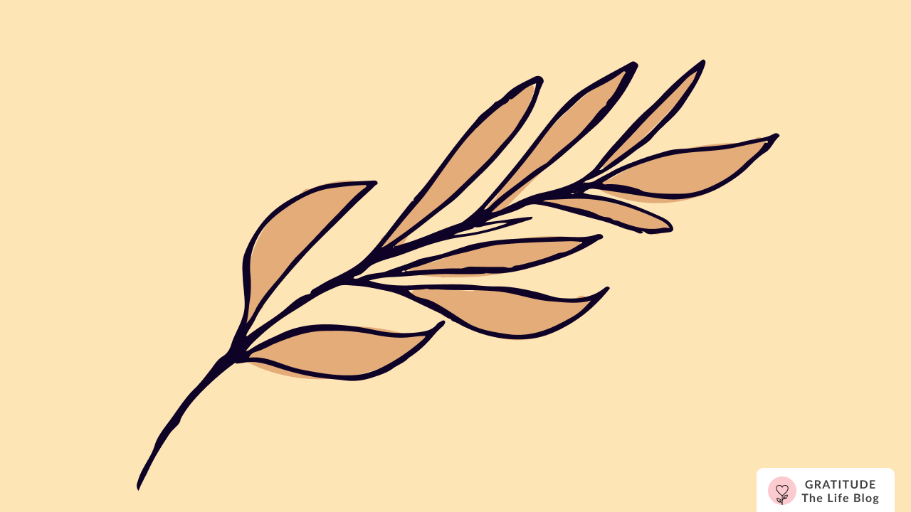 Joane’s Gratitude Story: Taking Time to Think