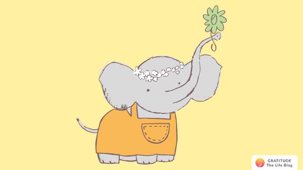 11 Steps to Become More Grateful
