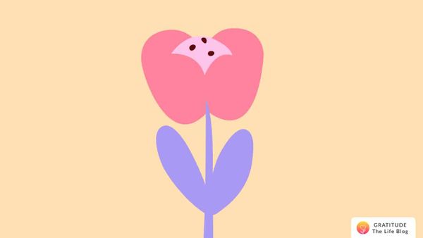 Karlee's Story - Why It's Important To Focus On Gratitude