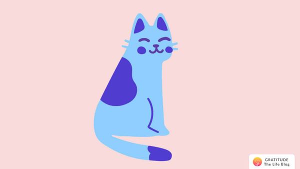 Jill's Story - Feeling much better about myself