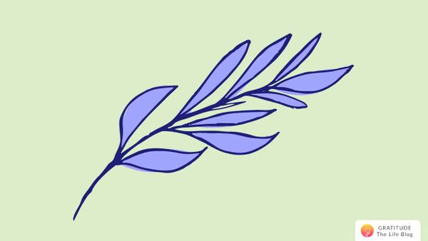 Maitreyee's Story - Back to the basics