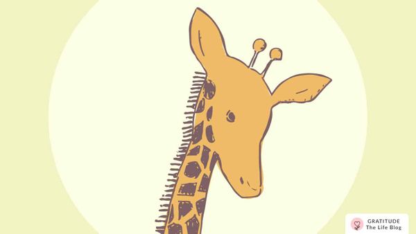 100 Wednesday Affirmations to Have a Great Hump Day