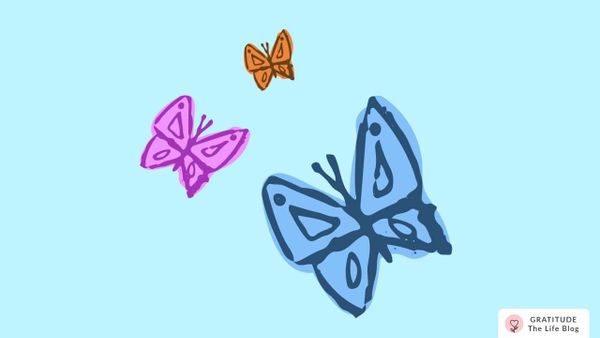 Serena's Gratitude Story - One Drawing Every Day