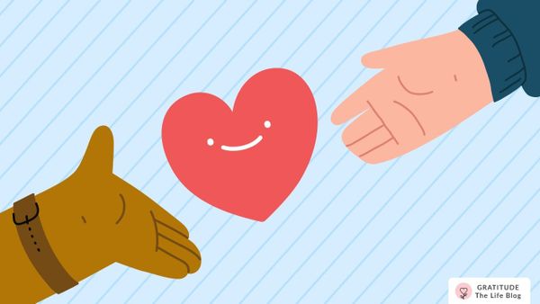 11 Heartfelt Donation Thank You Note Examples