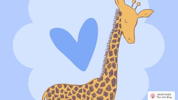 100+ Calming Affirmations for Inner Peace and Tranquility