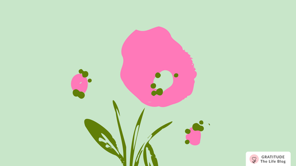 Brianna's Gratitude Story: Choosing Possibility Over Pain