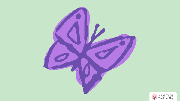 Mizba’s Gratitude Story: Finding the Magic Within