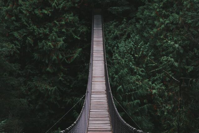 How to connect data in jestor