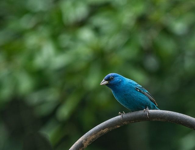 Como conectar o Jestor ao Twitter para acompanhar sua marca