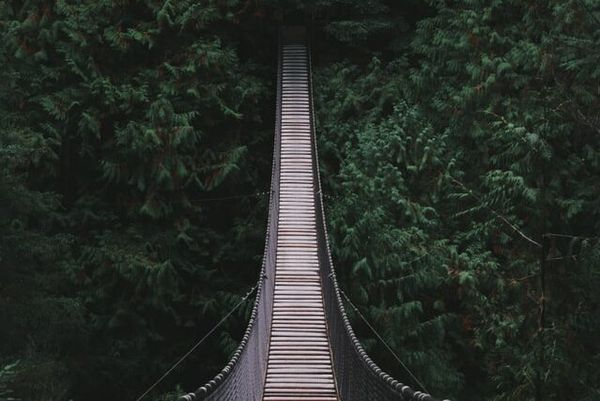 How to connect data in jestor