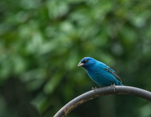 Como conectar o Jestor ao Twitter para acompanhar sua marca