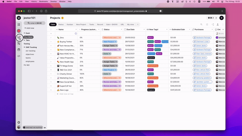 Launching Chat Section