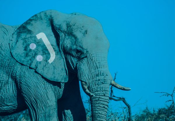 É o fim do PHP? Mas e o jestor?