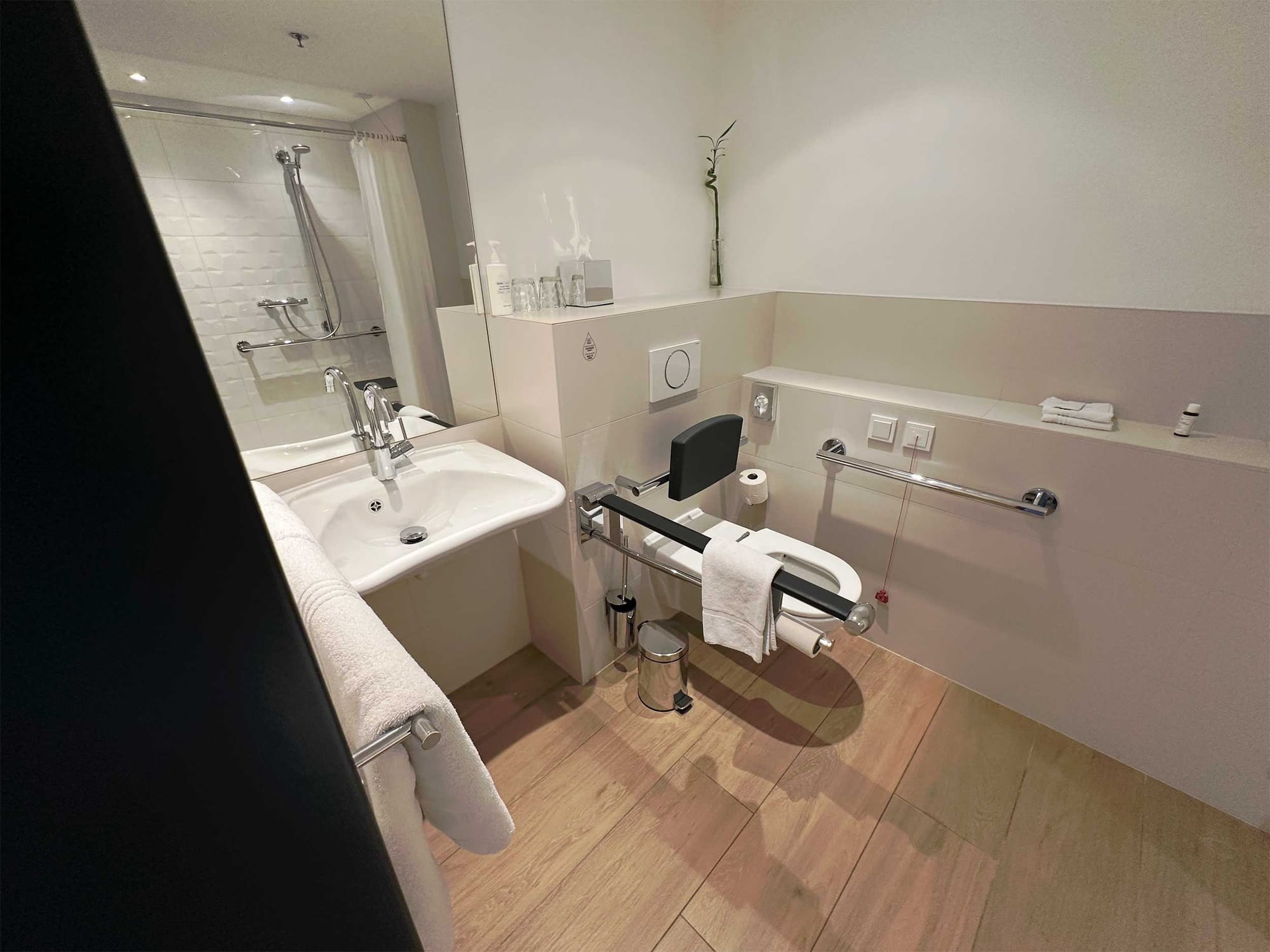 Roll-under sink and toilet with grab bars.