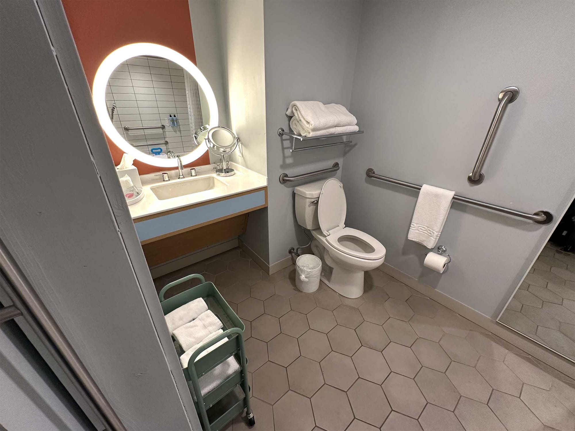 Toilet with grab bars and roll-under sink.