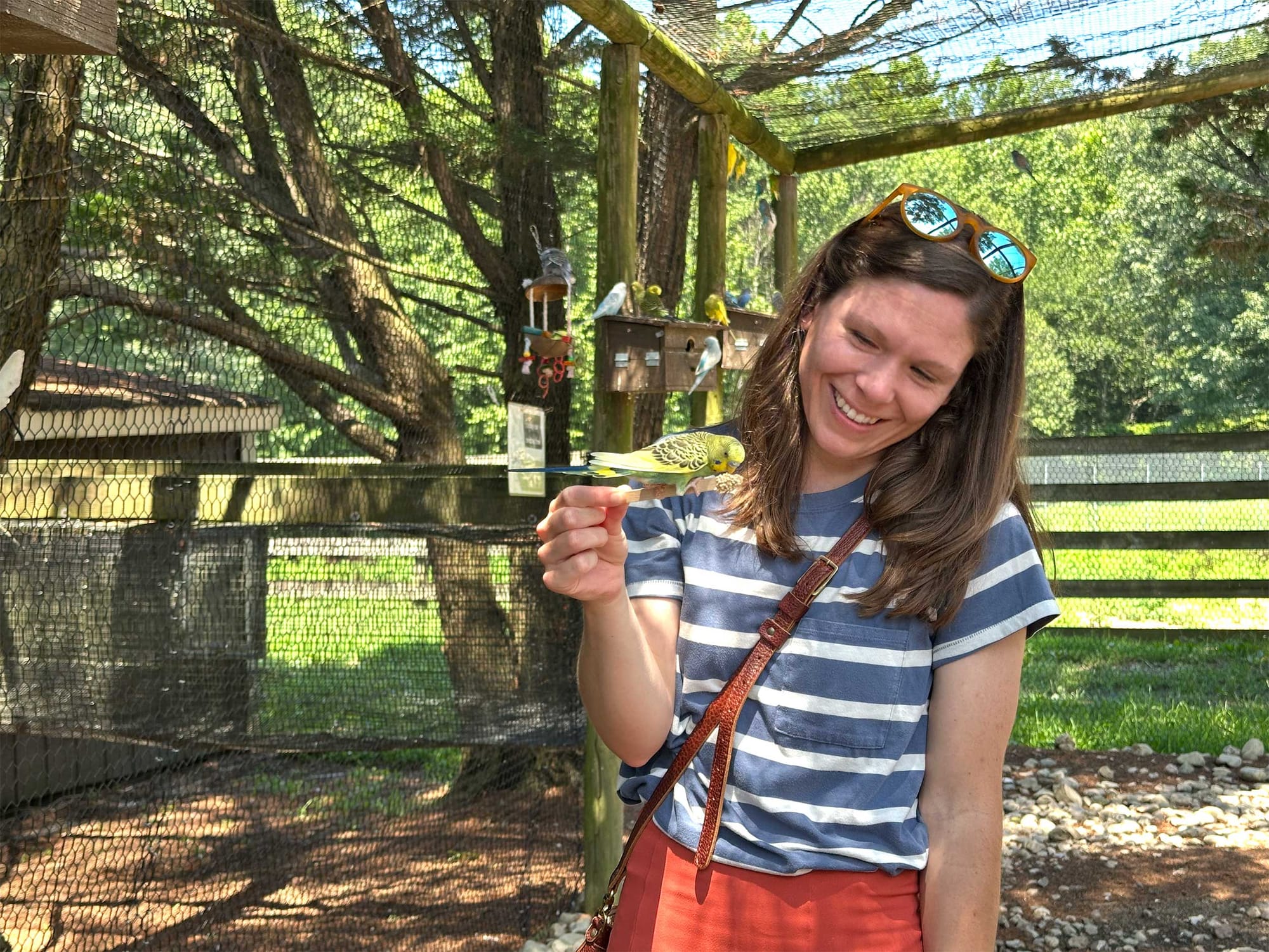 Stevie feeding a colorful green bird.