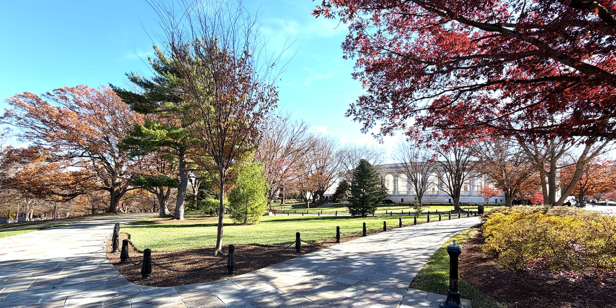 Trees at Arlington National Cemetery in fall colors, with paved pathways.