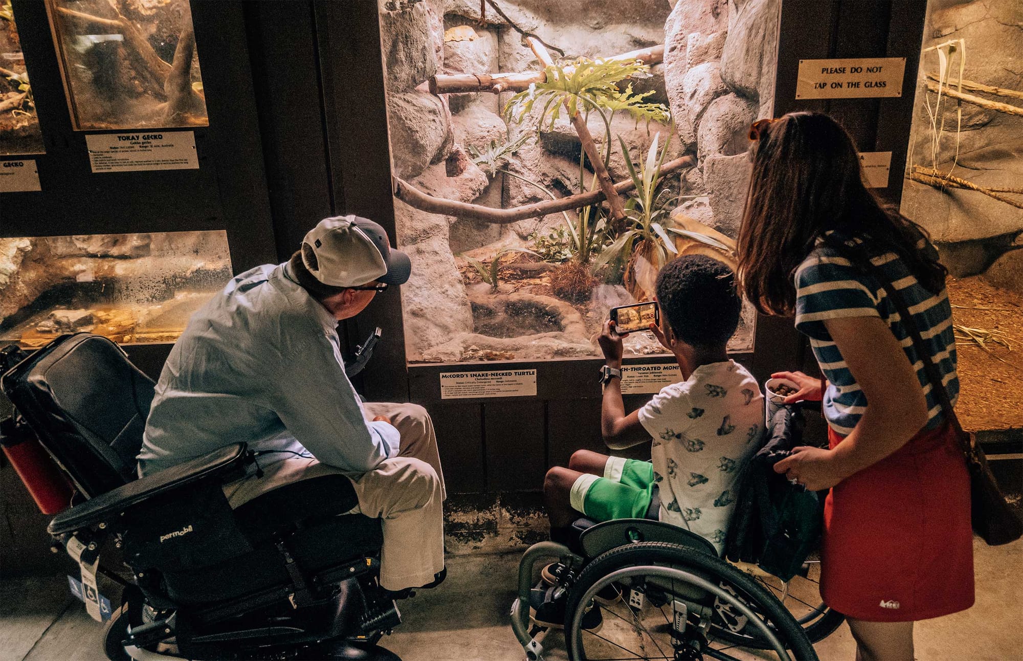 John and Stevie watching as Robert takes a photo at the Richmond zoo.