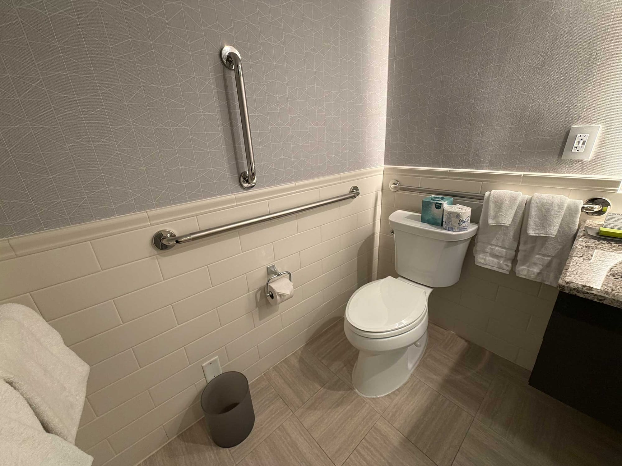 Toilet with grab bars.