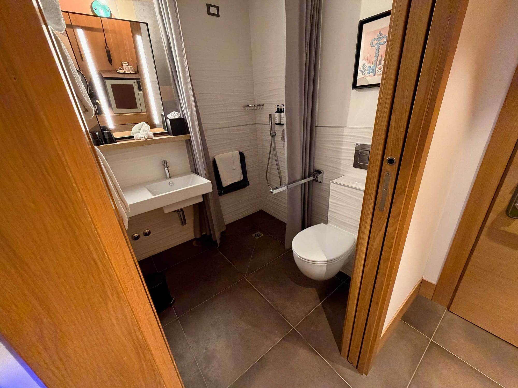 Accessible bathroom viewed from the doorway showing the wall-mounted sink on the left, wall-mounted toilet on the right with a folding grab bar, shower area behind a curtain, and very limited floor space.