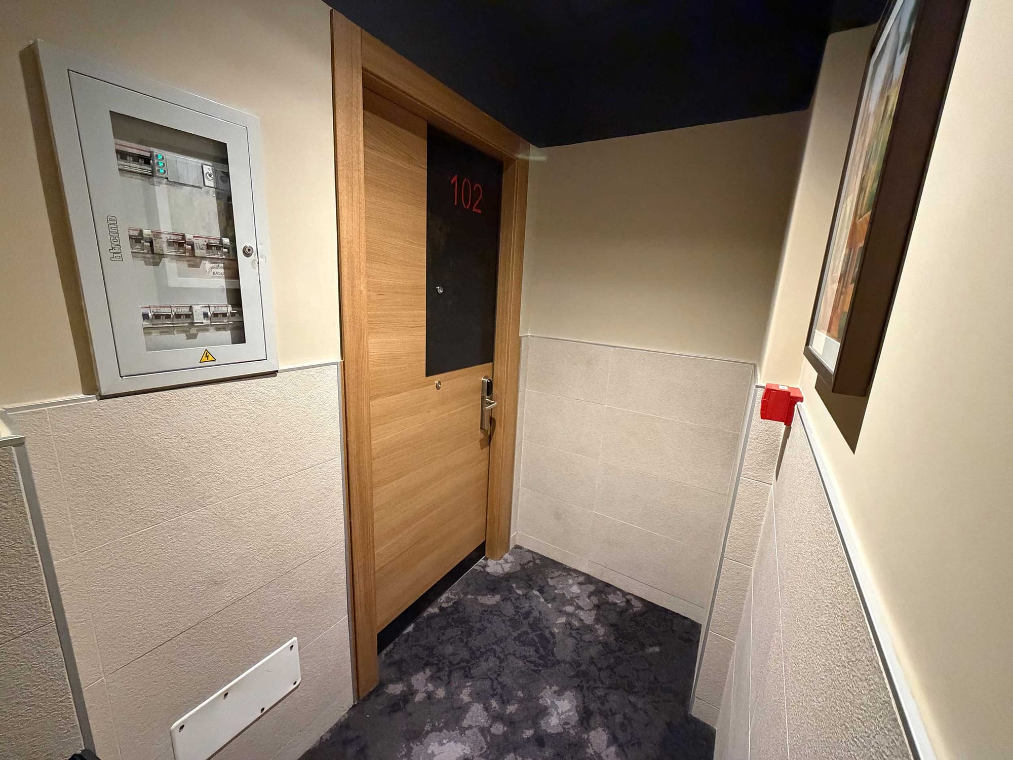 Hallway outside Room 102 showing a narrow corridor with the room door, an electrical panel on the adjacent wall and limited turning space.
