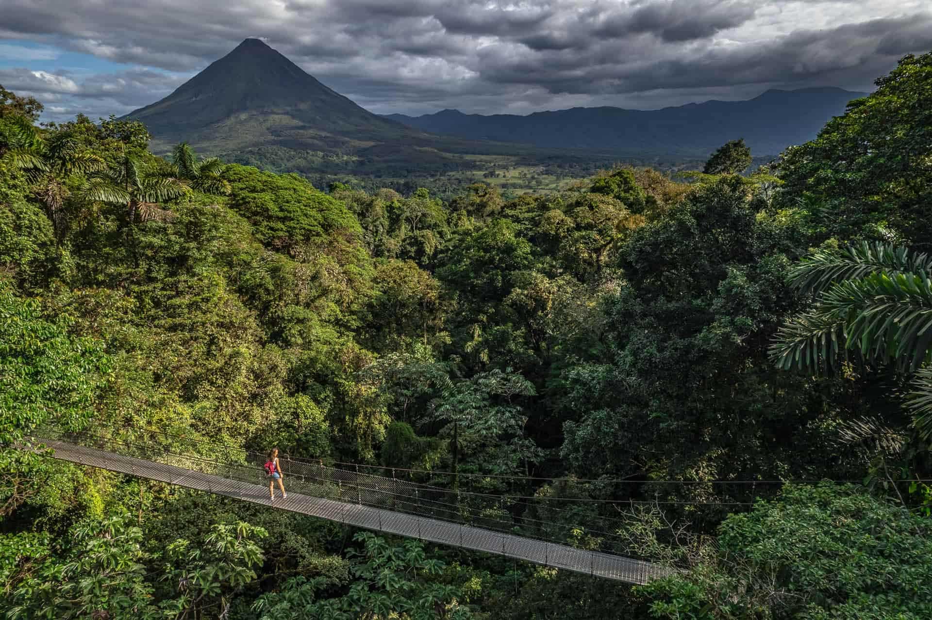 Arenal Volcano and a hanging bridge in the rainforest treetops.