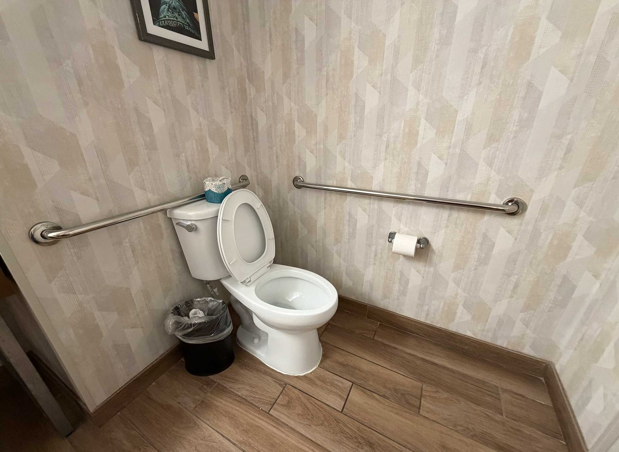 Toilet positioned in a corner with horizontal grab bars mounted on both the rear and side walls.