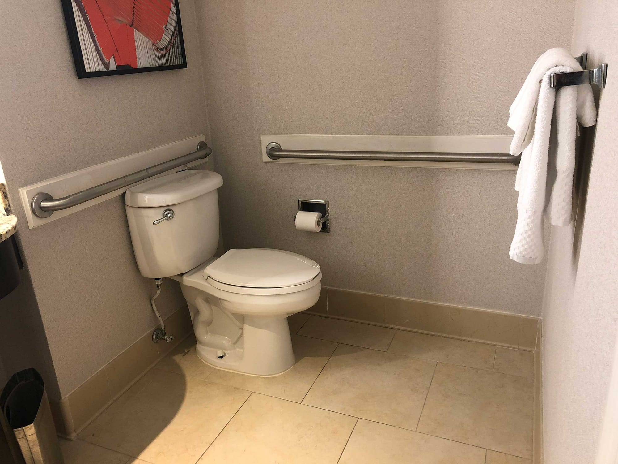 Toilet with grab bars on the rear and side walls.