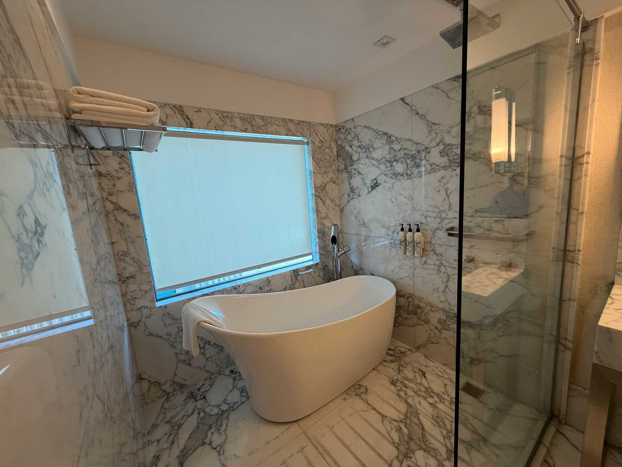 Bathroom with walk-in shower and large bathtub.