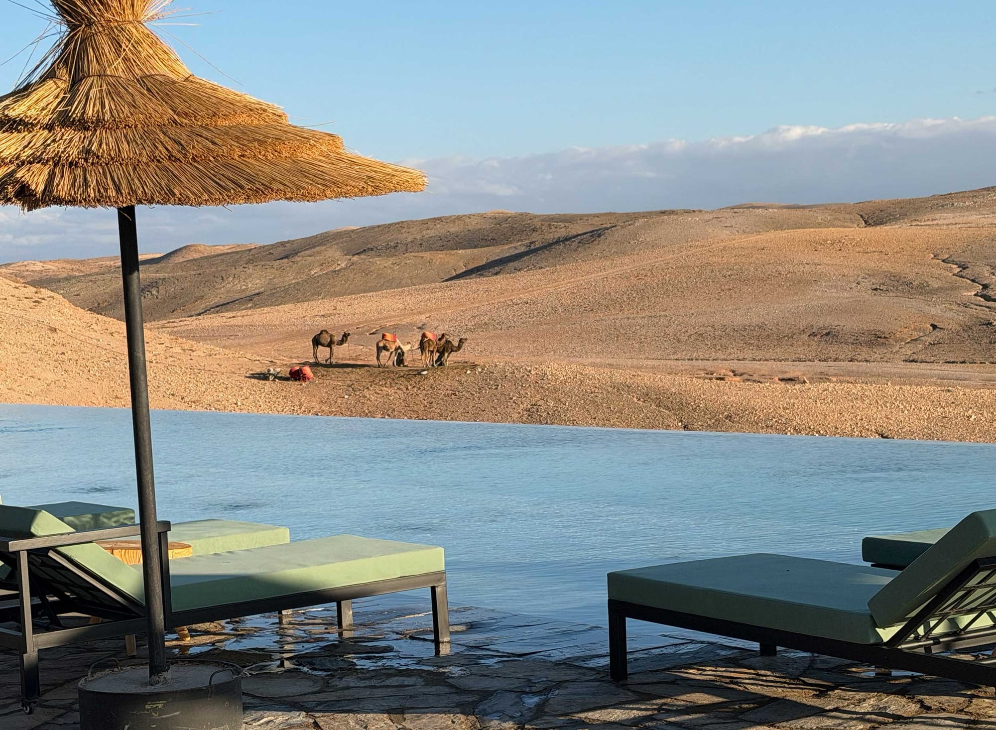 Swimming pool with desert and camels in the distance.