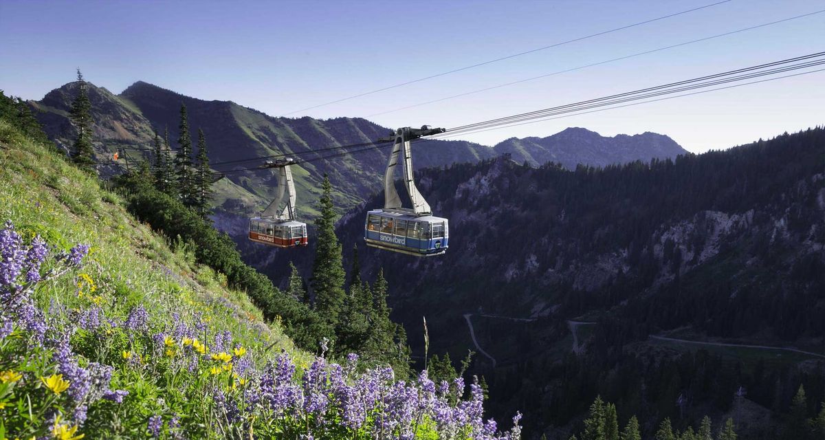 11 Wheelchair Accessible Things to Do in Salt Lake City