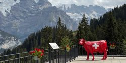 Cow statue painted as Swiss flag, located in front of an overlook into a snow-capped mountain valley.