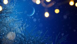 Merry Christmas and Happy New Year!