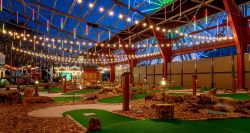 Miniature golf course with a ferris wheel in the background.