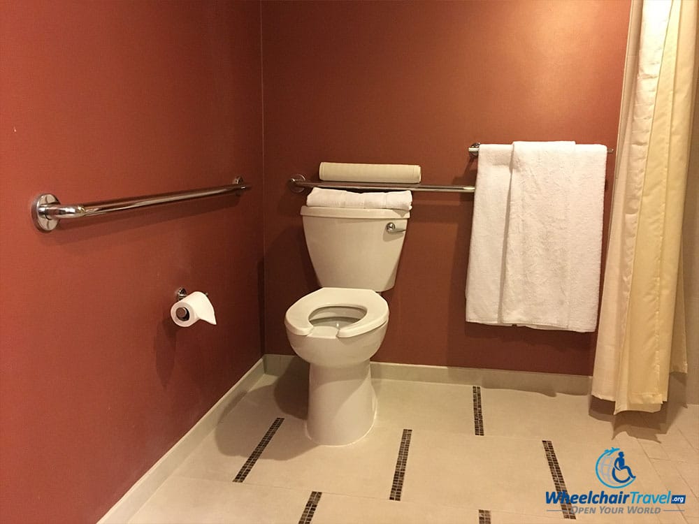 Toilet with grab bars