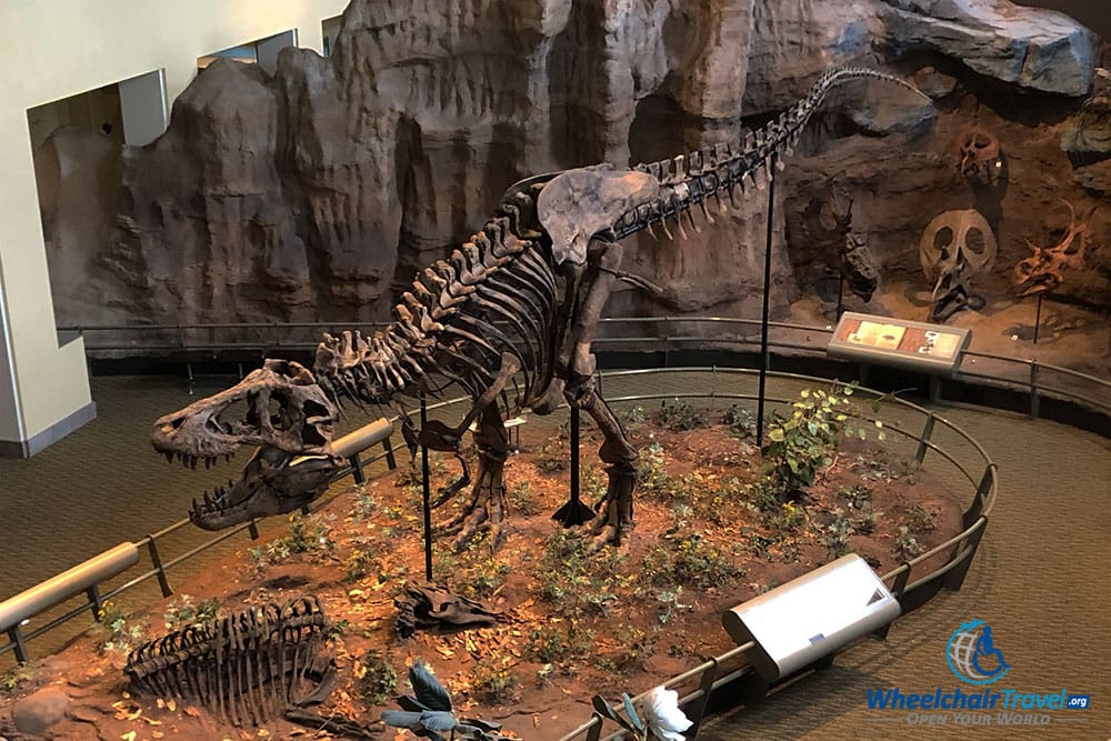 The Tyrannosaurus Rex steals the show at the Carnegie Museum.