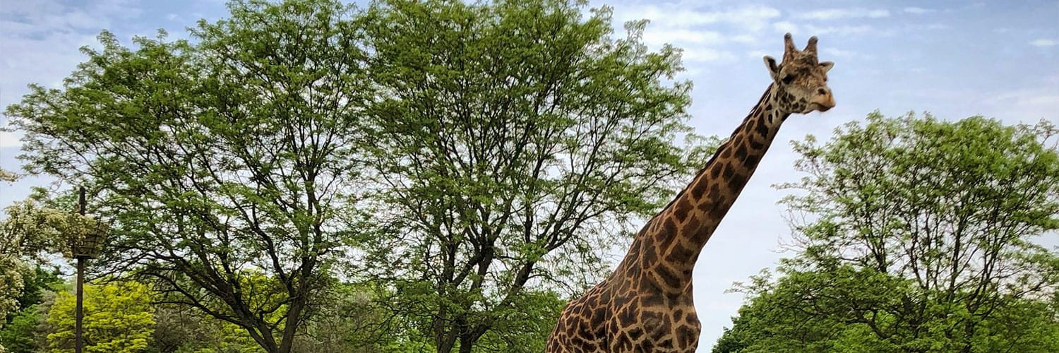 Wheelchair accessible things to do in Pittsburgh.