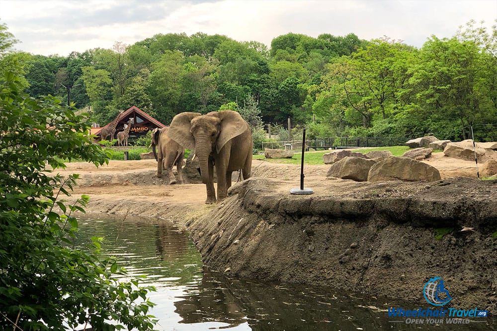 Elephants at Pittsburgh Zoo.