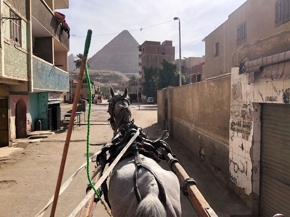 Horse leading us to the Pyramids at Giza.
