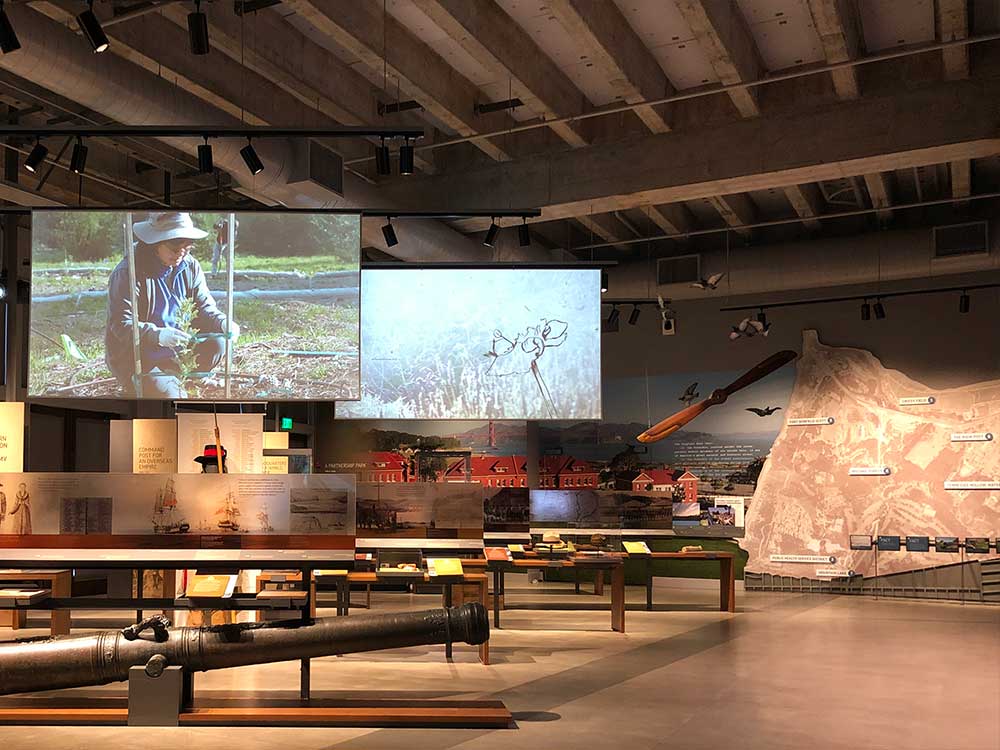 History museum exhibit gallery.