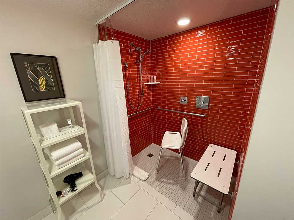 Roll-in shower with wall-mounted shower seat and a portable seat.