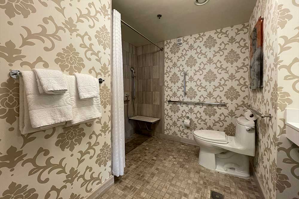 Roll-in shower and toilet.