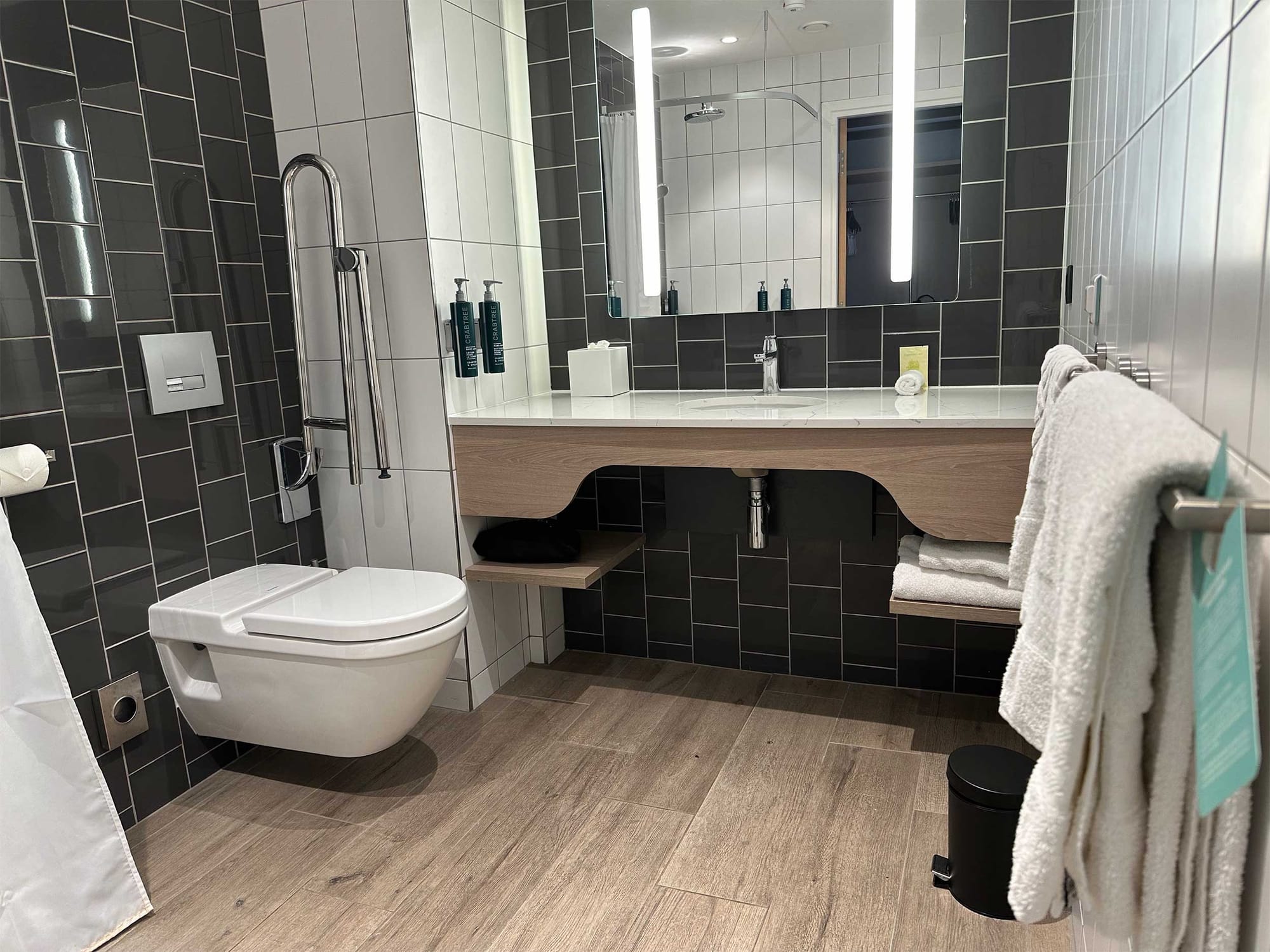 Toilet with grab bar and sink.