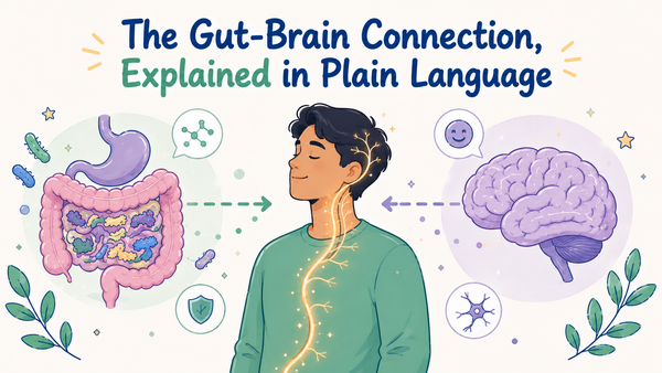 The Gut-Brain Connection, Explained in Plain Language