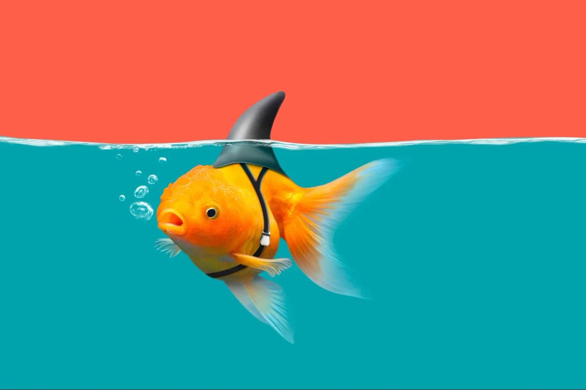 POET Technologies Has Consistently Chased Hype With Minimal Sales To Show For It (Archive, Full Access)