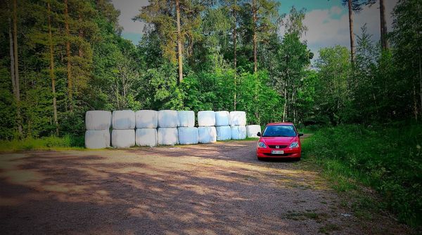 Mitä käytännön vaikutuksia tällä on autokauppiaille ja kuluttajille? – Romutuspalkkion vaikutus arjen päätöksiin