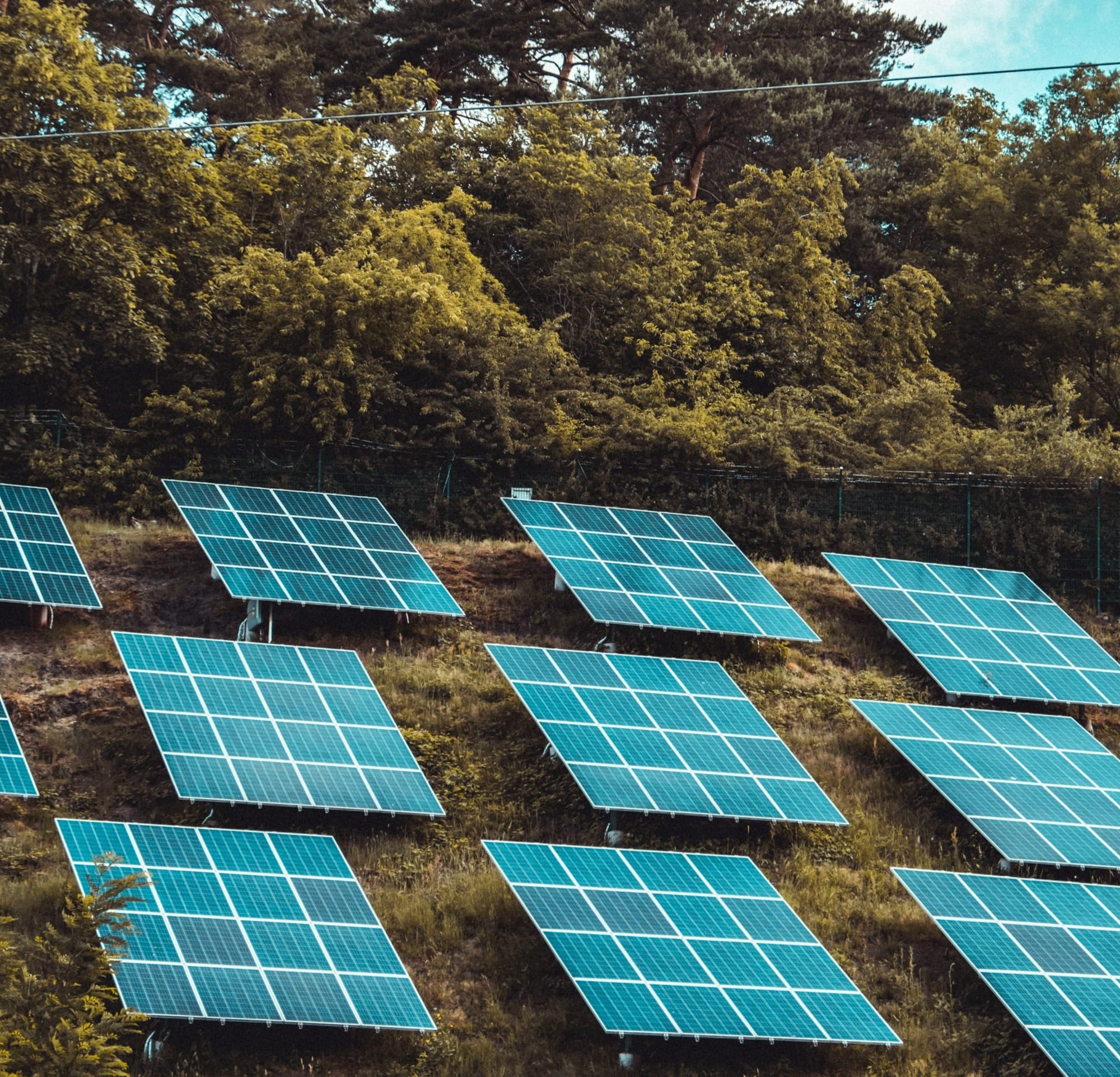solar panels on green trees during daytime