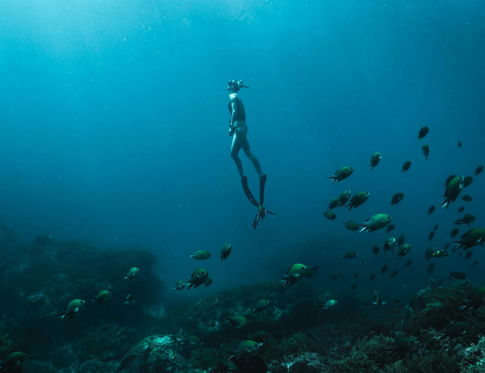 man in black shorts diving on water
