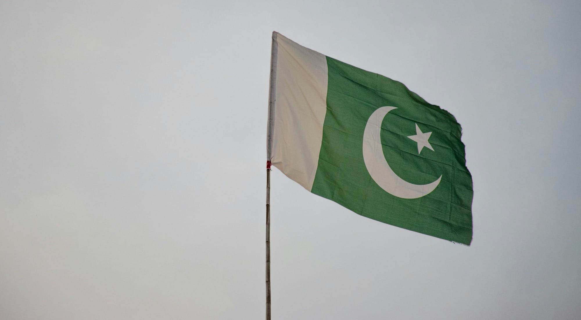 green and white flag under white sky during daytime