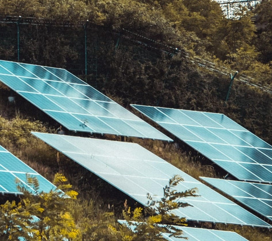 solar panels on green grass field